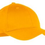 Port Authority Youth Six-Panel Twill Cap. YCP80 Athletic Gold