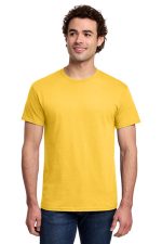 Gildan Light Cotton Tee 3000 Daisy